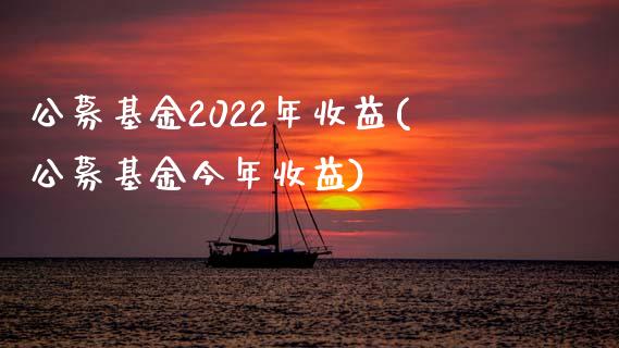 公募基金2022年收益(公募基金今年收益)_https://www.zghnxxa.com_内盘期货_第1张