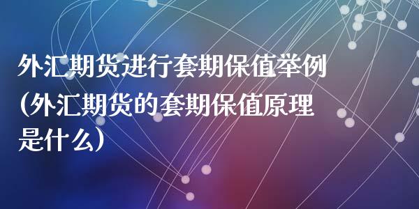 外汇期货进行套期保值举例(外汇期货的套期保值原理是什么)_https://www.zghnxxa.com_内盘期货_第1张