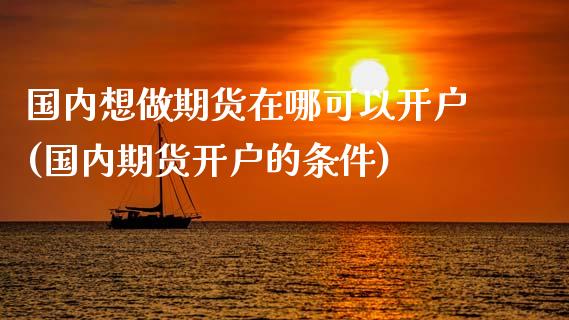 国内想做期货在哪可以开户(国内期货开户的条件)_https://www.zghnxxa.com_国际期货_第1张