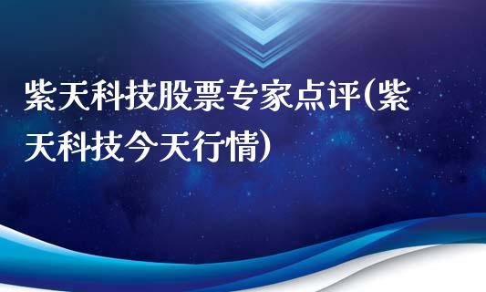 紫天科技股票专家点评(紫天科技今天行情)_https://www.zghnxxa.com_国际期货_第1张