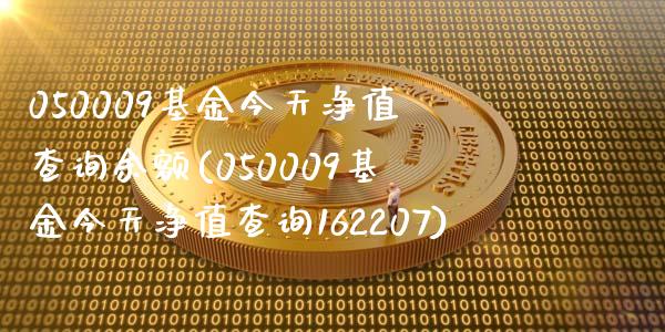 050009基金今天净值查询余额(050009基金今天净值查询162207)_https://www.zghnxxa.com_国际期货_第1张