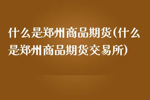 什么是郑州商品期货(什么是郑州商品期货交易所)_https://www.zghnxxa.com_期货直播室_第1张