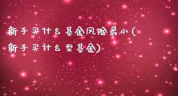 新手买什么基金风险最小(新手买什么型基金)_https://www.zghnxxa.com_内盘期货_第1张