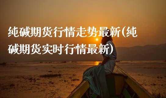 纯碱期货行情走势最新(纯碱期货实时行情最新)_https://www.zghnxxa.com_国际期货_第1张