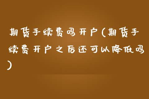 期货手续费吗开户(期货手续费开户之后还可以降低吗)_https://www.zghnxxa.com_国际期货_第1张