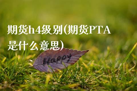 期货h4级别(期货PTA是什么意思)_https://www.zghnxxa.com_内盘期货_第1张