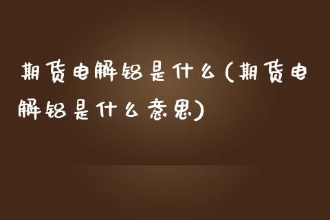 期货电解铝是什么(期货电解铝是什么意思)_https://www.zghnxxa.com_国际期货_第1张