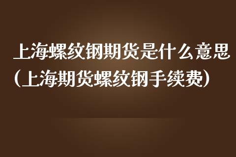 上海螺纹钢期货是什么意思(上海期货螺纹钢手续费)_https://www.zghnxxa.com_期货直播室_第1张