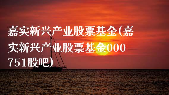 嘉实新兴产业股票基金(嘉实新兴产业股票基金000751股吧)_https://www.zghnxxa.com_国际期货_第1张