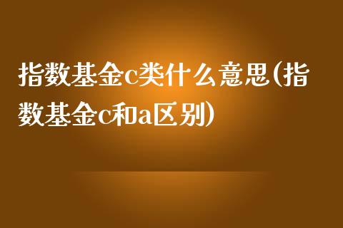 指数基金c类什么意思(指数基金c和a区别)_https://www.zghnxxa.com_内盘期货_第1张