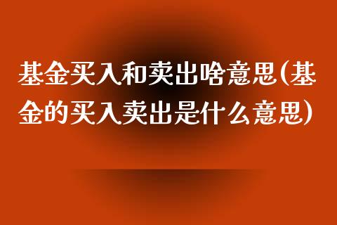 基金买入和卖出啥意思(基金的买入卖出是什么意思)_https://www.zghnxxa.com_内盘期货_第1张