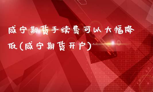 咸宁期货手续费可以大幅降低(咸宁期货开户)_https://www.zghnxxa.com_黄金期货_第1张