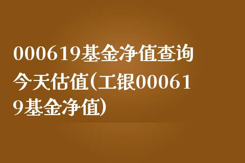 000619基金净值查询今天估值(工银000619基金净值)_https://www.zghnxxa.com_国际期货_第1张