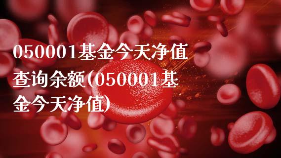 050001基金今天净值查询余额(050001基金今天净值)_https://www.zghnxxa.com_国际期货_第1张