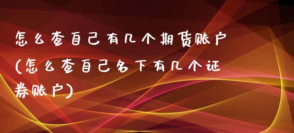 怎么查自己有几个期货账户(怎么查自己名下有几个证券账户)_https://www.zghnxxa.com_国际期货_第1张