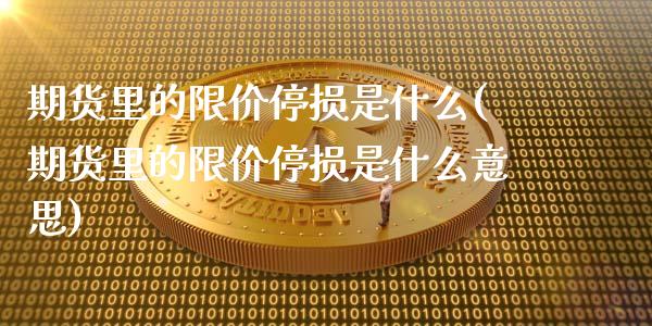 期货里的限价停损是什么(期货里的限价停损是什么意思)_https://www.zghnxxa.com_内盘期货_第1张