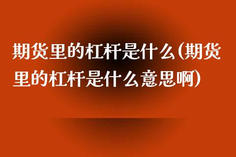 期货里的杠杆是什么(期货里的杠杆是什么意思啊)_https://www.zghnxxa.com_黄金期货_第1张