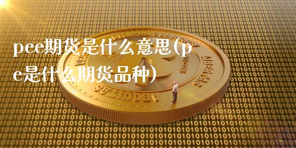 pee期货是什么意思(pe是什么期货品种)_https://www.zghnxxa.com_黄金期货_第1张