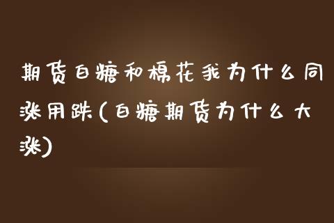 期货白糖和棉花我为什么同涨用跌(白糖期货为什么大涨)_https://www.zghnxxa.com_国际期货_第1张