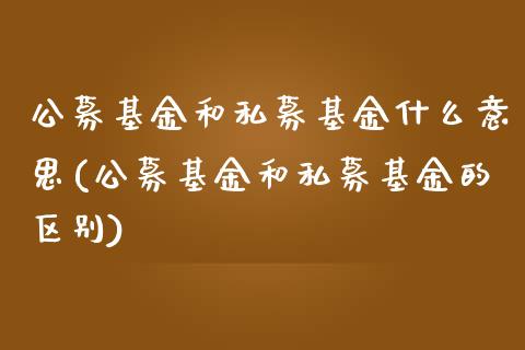 公募基金和私募基金什么意思(公募基金和私募基金的区别)_https://www.zghnxxa.com_国际期货_第1张