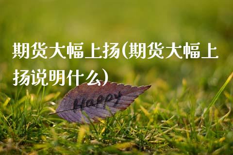 期货大幅上扬(期货大幅上扬说明什么)_https://www.zghnxxa.com_内盘期货_第1张