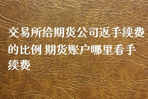 交易所给期货公司返手续费的比例 期货账户哪里看手续费_https://www.zghnxxa.com_内盘期货_第1张