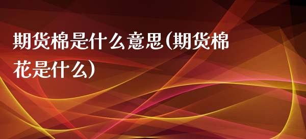 期货棉是什么意思(期货棉花是什么)_https://www.zghnxxa.com_黄金期货_第1张