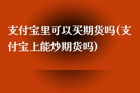 支付宝里可以买期货吗(支付宝上能炒期货吗)_https://www.zghnxxa.com_期货直播室_第1张