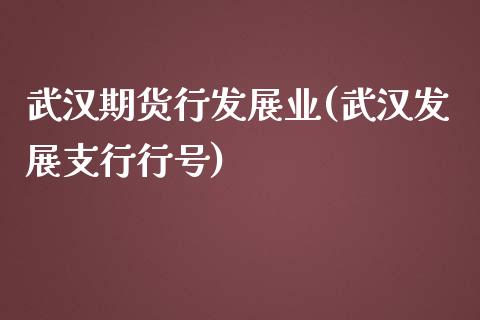 武汉期货行发展业(武汉发展支行行号)_https://www.zghnxxa.com_内盘期货_第1张