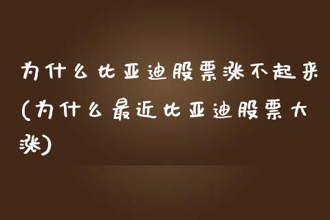 为什么比亚迪股票涨不起来(为什么最近比亚迪股票大涨)_https://www.zghnxxa.com_黄金期货_第1张