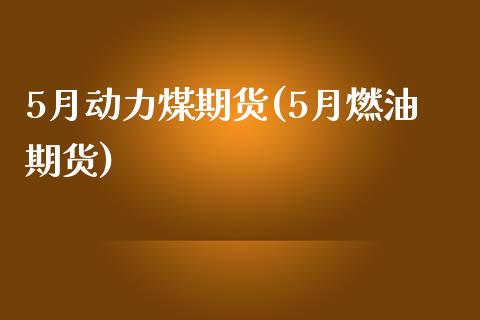 5月动力煤期货(5月燃油期货)_https://www.zghnxxa.com_内盘期货_第1张