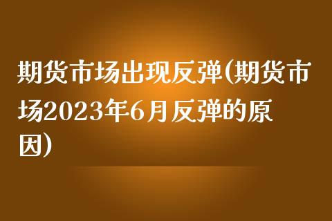 期货市场出现反弹(期货市场2023年6月反弹的原因)_https://www.zghnxxa.com_内盘期货_第1张