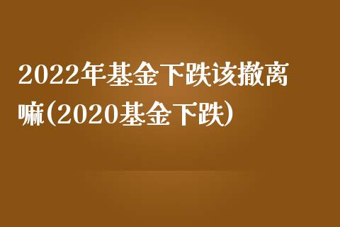 2022年基金下跌该撤离嘛(2020基金下跌)_https://www.zghnxxa.com_内盘期货_第1张