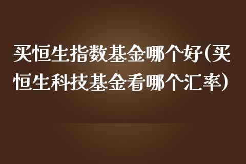 买恒生指数基金哪个好(买恒生科技基金看哪个汇率)_https://www.zghnxxa.com_国际期货_第1张