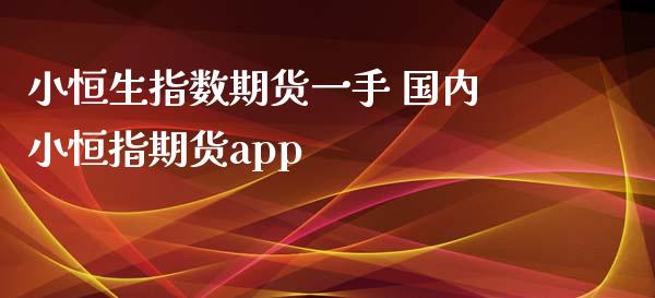 小恒生指数期货一手 国内小恒指期货app_https://www.zghnxxa.com_内盘期货_第1张