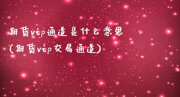 期货vip通道是什么意思(期货vip交易通道)_https://www.zghnxxa.com_期货直播室_第1张