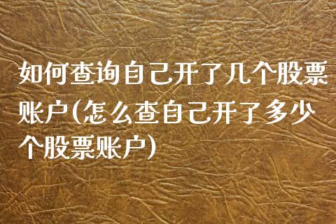 如何查询自己开了几个股票账户(怎么查自己开了多少个股票账户)_https://www.zghnxxa.com_内盘期货_第1张