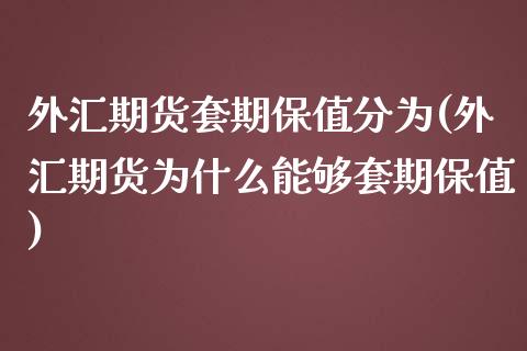 外汇期货套期保值分为(外汇期货为什么能够套期保值)_https://www.zghnxxa.com_内盘期货_第1张