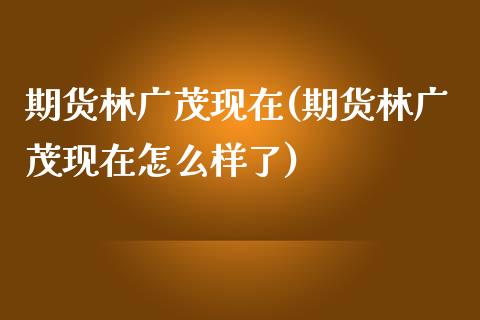 期货林广茂现在(期货林广茂现在怎么样了)_https://www.zghnxxa.com_黄金期货_第1张