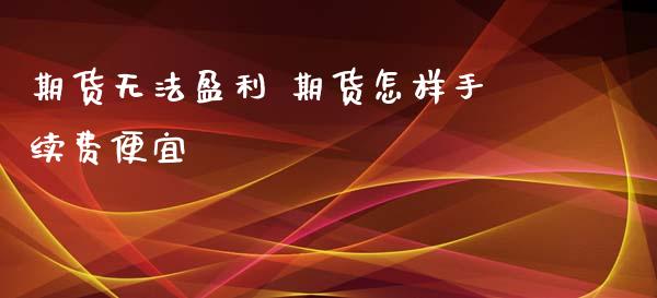 期货无法盈利 期货怎样手续费便宜_https://www.zghnxxa.com_国际期货_第1张