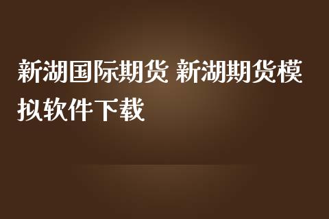 新湖国际期货 新湖期货模拟软件下载_https://www.zghnxxa.com_内盘期货_第1张