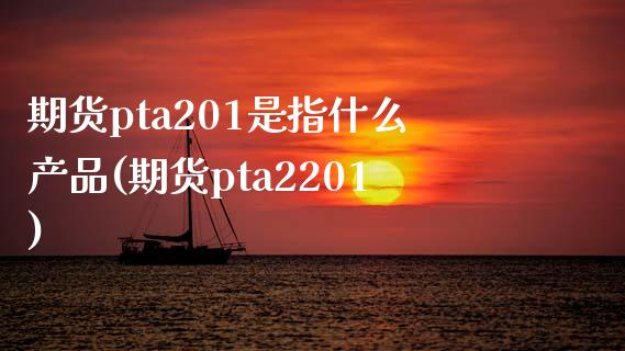 期货pta201是指什么产品(期货pta2201)_https://www.zghnxxa.com_内盘期货_第1张