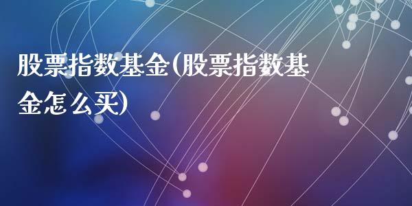 股票指数基金(股票指数基金怎么买)_https://www.zghnxxa.com_内盘期货_第1张