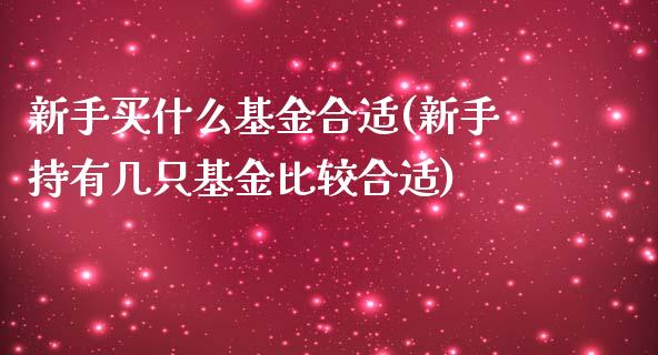 新手买什么基金合适(新手持有几只基金比较合适)_https://www.zghnxxa.com_内盘期货_第1张