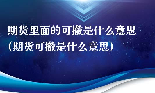 期货里面的可撤是什么意思(期货可撤是什么意思)_https://www.zghnxxa.com_国际期货_第1张