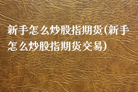 新手怎么炒股指期货(新手怎么炒股指期货交易)_https://www.zghnxxa.com_国际期货_第1张