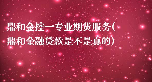 鼎和金控一专业期货服务(鼎和金融贷款是不是真的)_https://www.zghnxxa.com_期货直播室_第1张