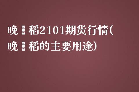 晚籼稻2101期货行情(晚籼稻的主要用途)_https://www.zghnxxa.com_黄金期货_第1张