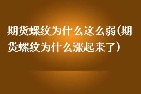 期货螺纹为什么这么弱(期货螺纹为什么涨起来了)_https://www.zghnxxa.com_内盘期货_第1张