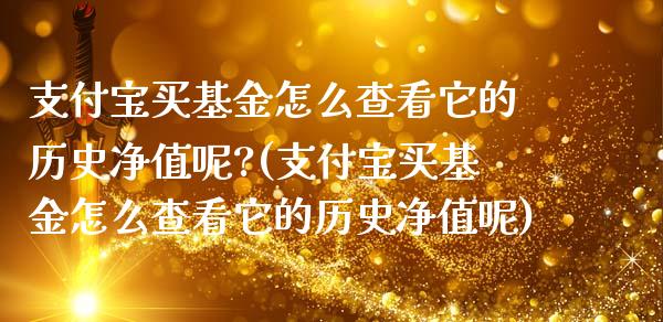 支付宝买基金怎么查看它的历史净值呢?(支付宝买基金怎么查看它的历史净值呢)_https://www.zghnxxa.com_内盘期货_第1张